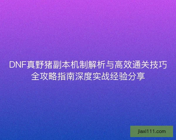 DNF真野猪副本机制解析与高效通关技巧全攻略指南深度实战经验分享